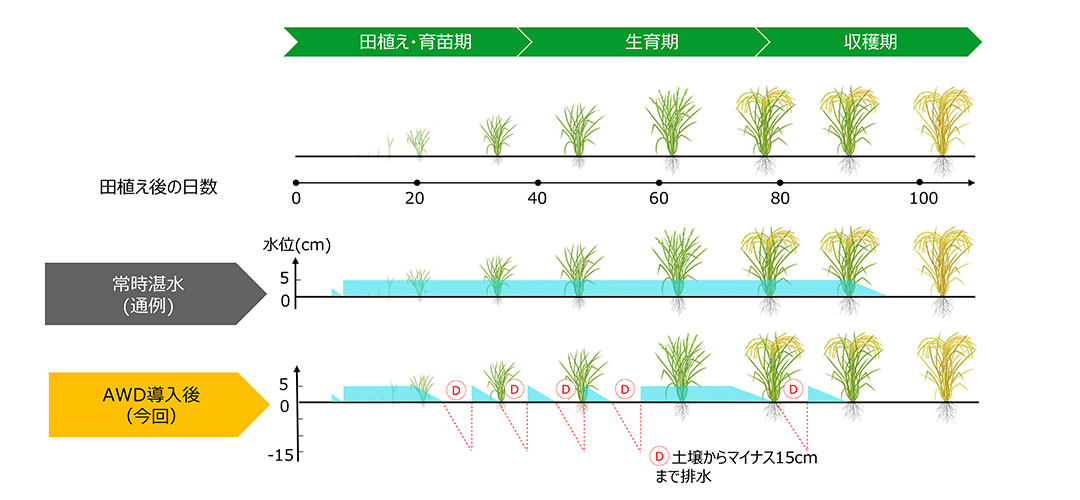 民間JCM1号へ クボタ など3社比で水田メタン削減実証