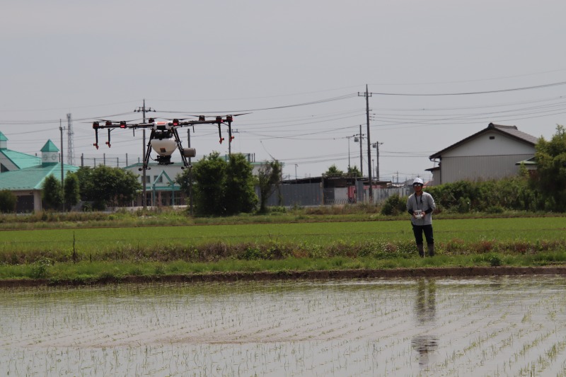 ドローンで「楽粒」散布 １ha２分、隅々まで拡散　北興化学