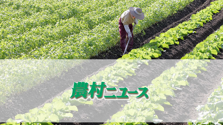【特別寄稿】食の安全を科学で検証する ‐10‐ =東京大学名誉教授、食の安全・安心財団理事長 唐木英明=