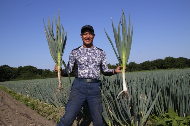 【黒腐菌核病の克服事例】微生物土壌活性剤『納豆菌の力』がネギ農家を救った──茨城県坂東市での成功体験